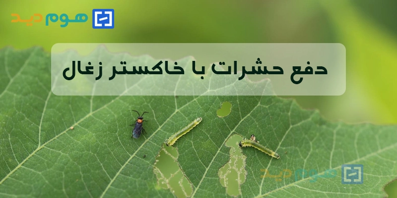 خاکستر زغال و دفع حشرات