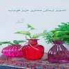 تصویر ارسالی خریدار محصول از گلدان ویدا