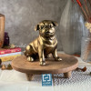 تندیس سگ بولداگ جفتی طرح نشسته رنگ طلایی