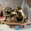 مجسمه جفتی سگ بولداگ رنگ طلایی