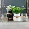 گلدان شیشه ای مدل الیزا